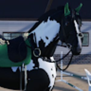 Meet your Posher, Angel